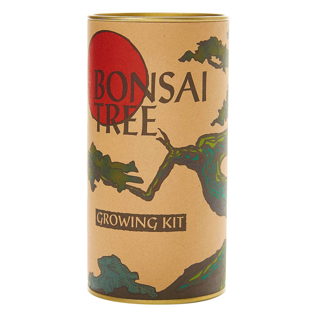 Bonsai Tree | Seed Grow Kit
