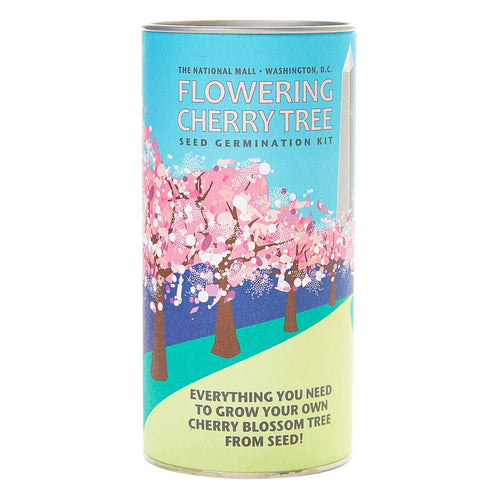Flowering Cherry Blossom | Washington DC | Seed Grow Kit