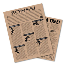 Load image into Gallery viewer, Bonsai Tree | Seed Grow Kit
