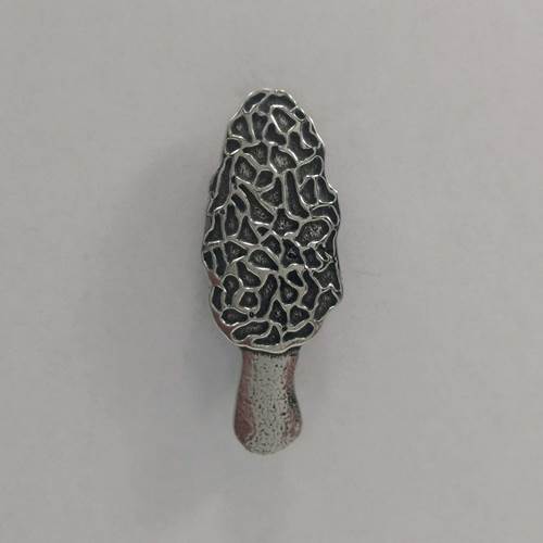 Morel Magnet